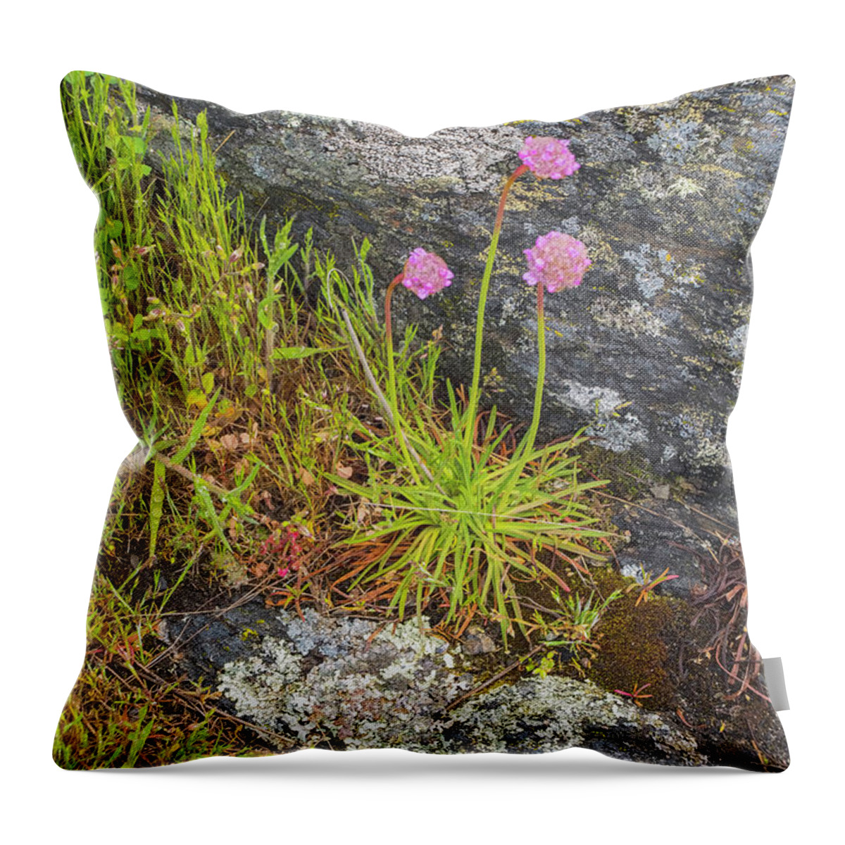 Oregon Coast Throw Pillow featuring the photograph Flower And Rock by Tom Singleton