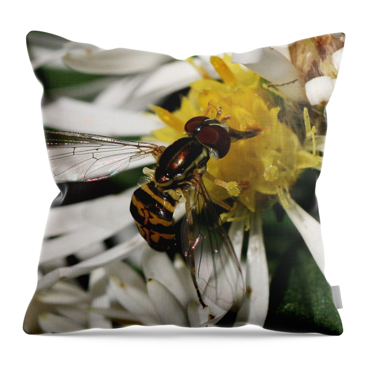 Insect Throw Pillow featuring the photograph Flower Fly on Wildflower by William Selander