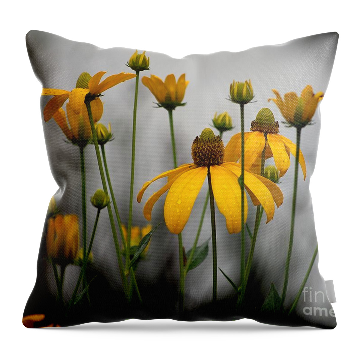 Flowers In The Rain Throw Pillow featuring the photograph Flowers in the rain by Robert Meanor