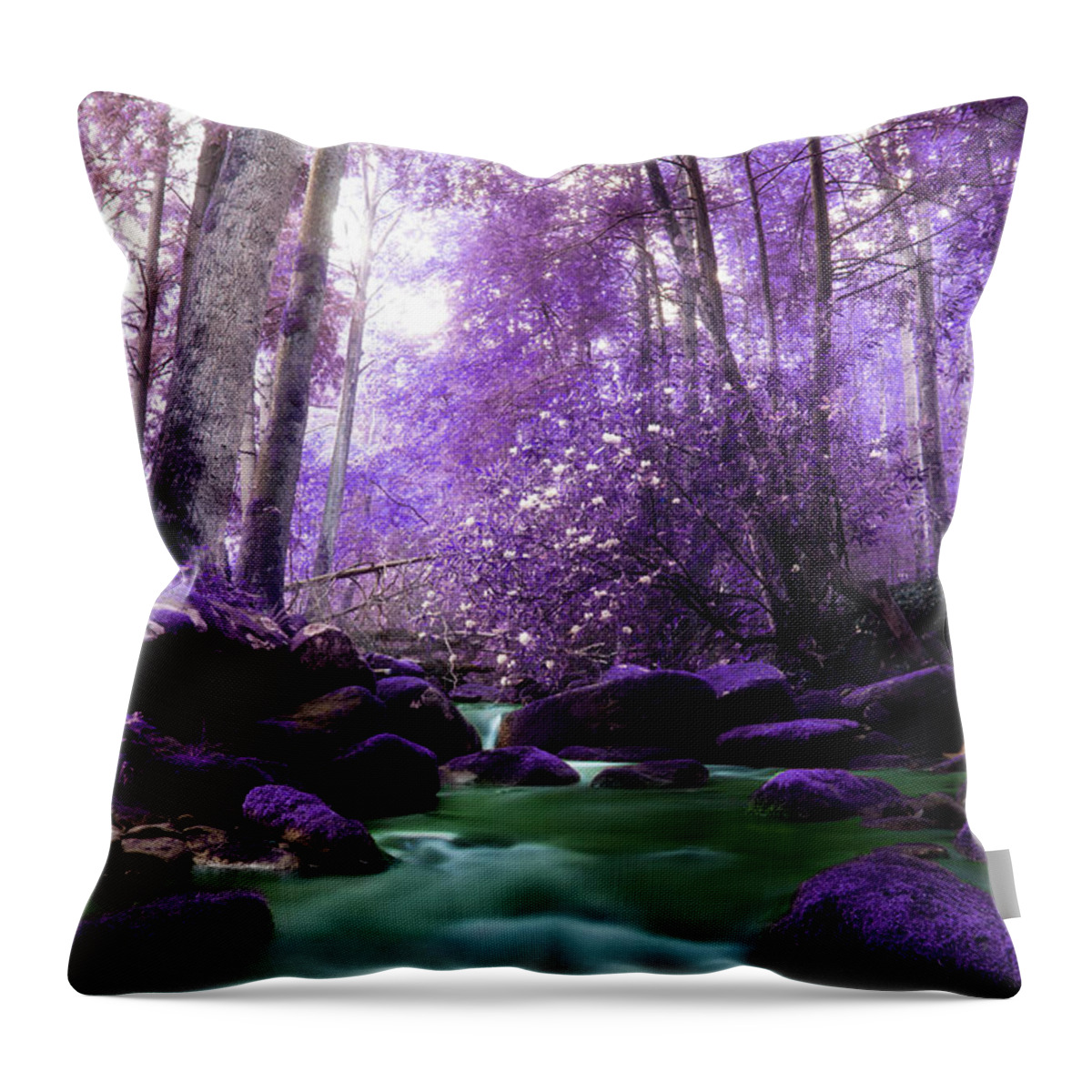 River Throw Pillow featuring the photograph Flowing Dreams by Mike Eingle
