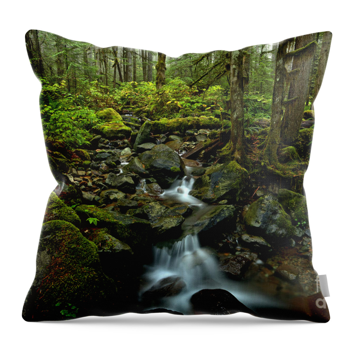 Mt Baker Throw Pillow featuring the photograph Flowing Through The Pacific Northwest by Adam Jewell