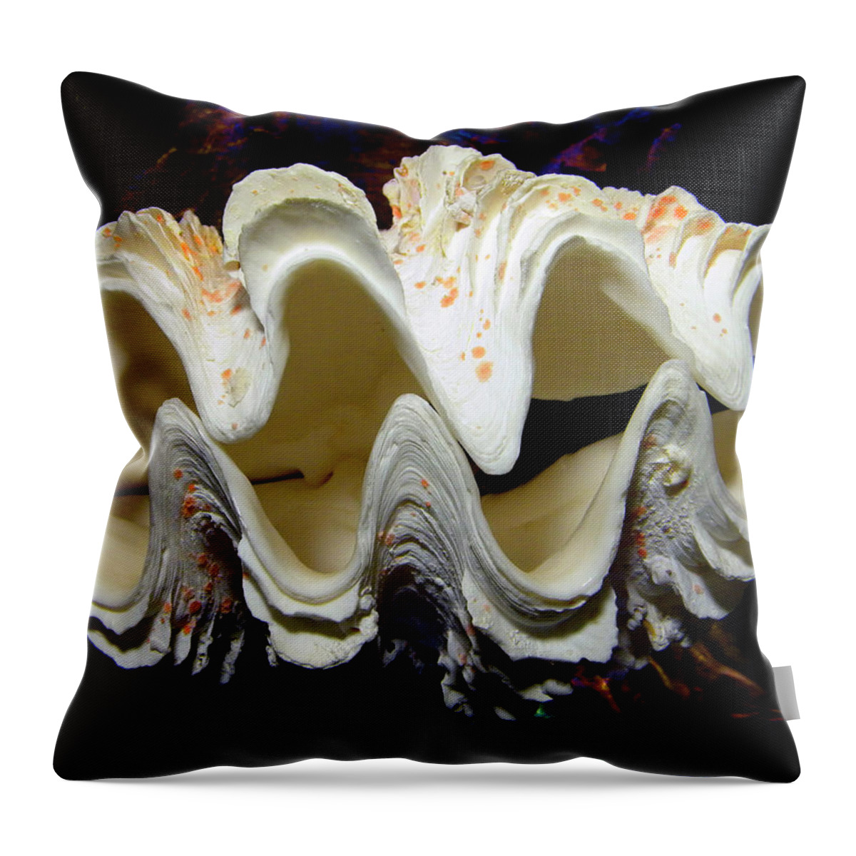 Fluted Giant Clam Shell Throw Pillow