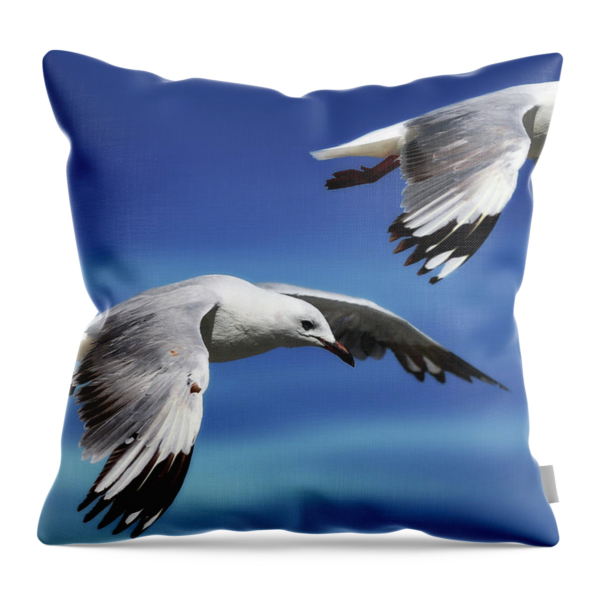 Seagull Photography Throw Pillow featuring the photograph Flying high 0064 by Kevin Chippindall