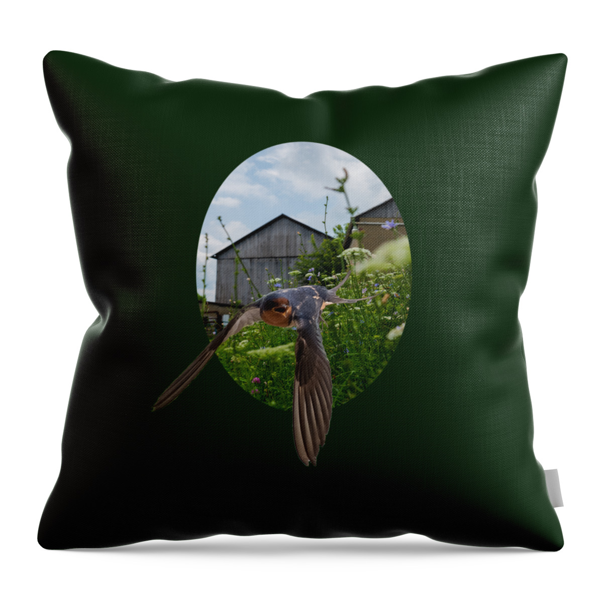 Barn Throw Pillow featuring the photograph Flying Through The Farm by Holden The Moment