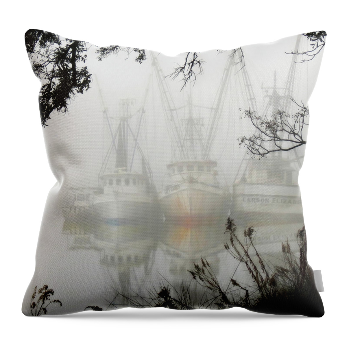 Landscape Throw Pillow featuring the photograph Fogged In by Deborah Smith