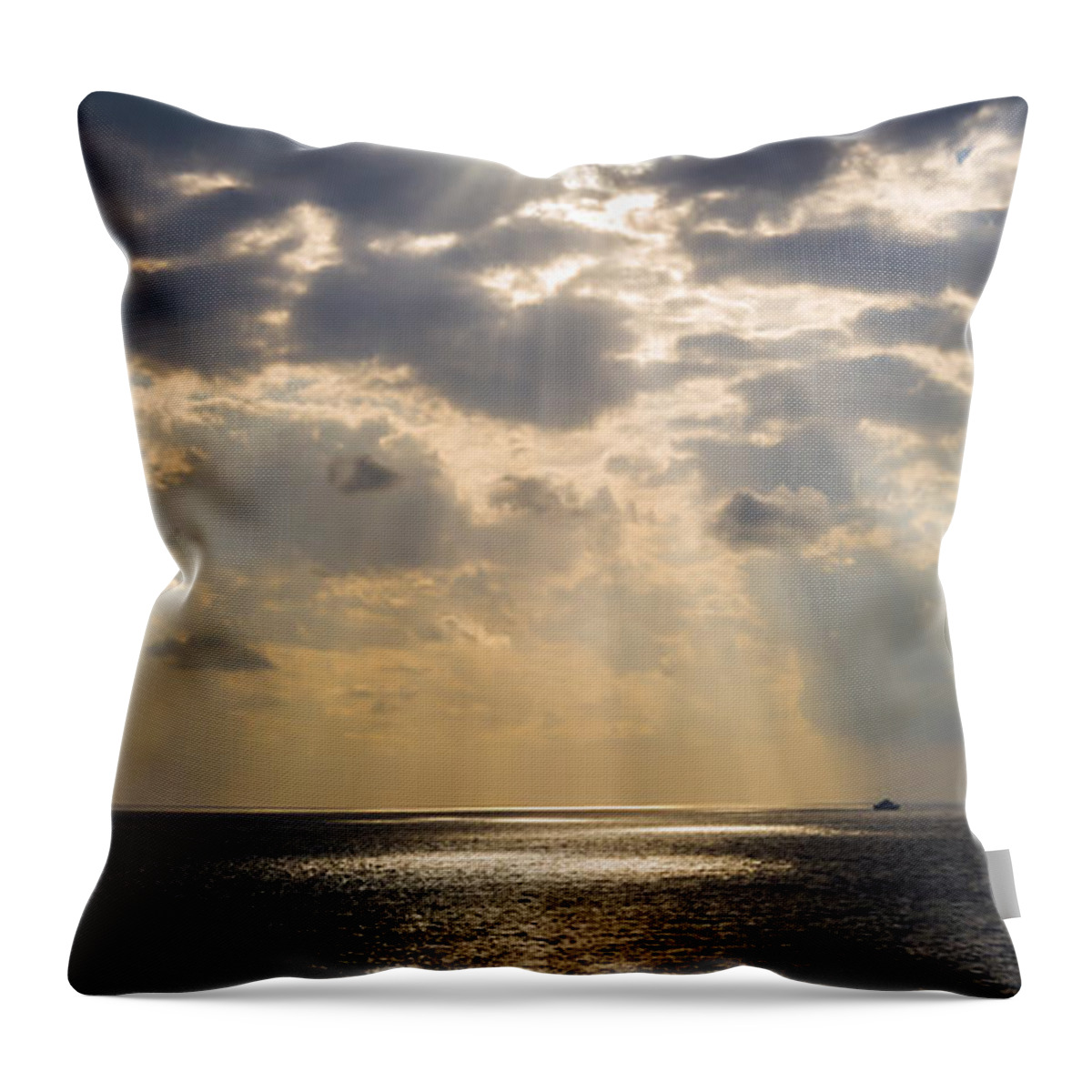 Landscape Throw Pillow featuring the photograph Follow the path by Charles McCleanon