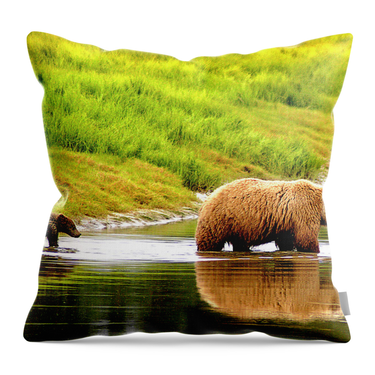 Follow Throw Pillow featuring the photograph Following Mama by Ted Keller
