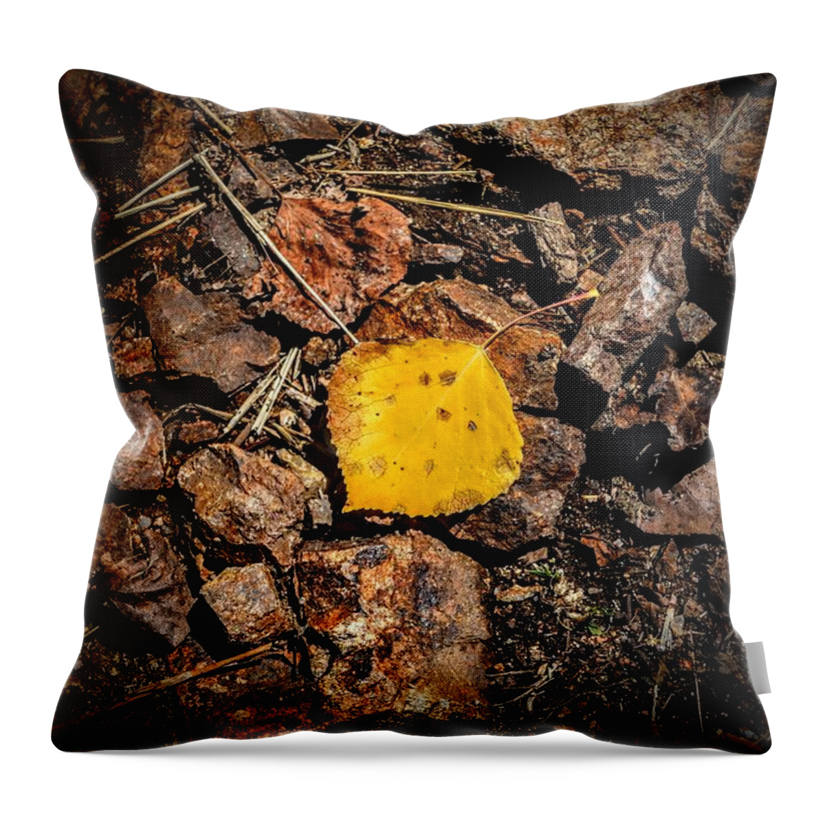 Aspen Throw Pillow featuring the photograph Fools Gold by Michael Brungardt