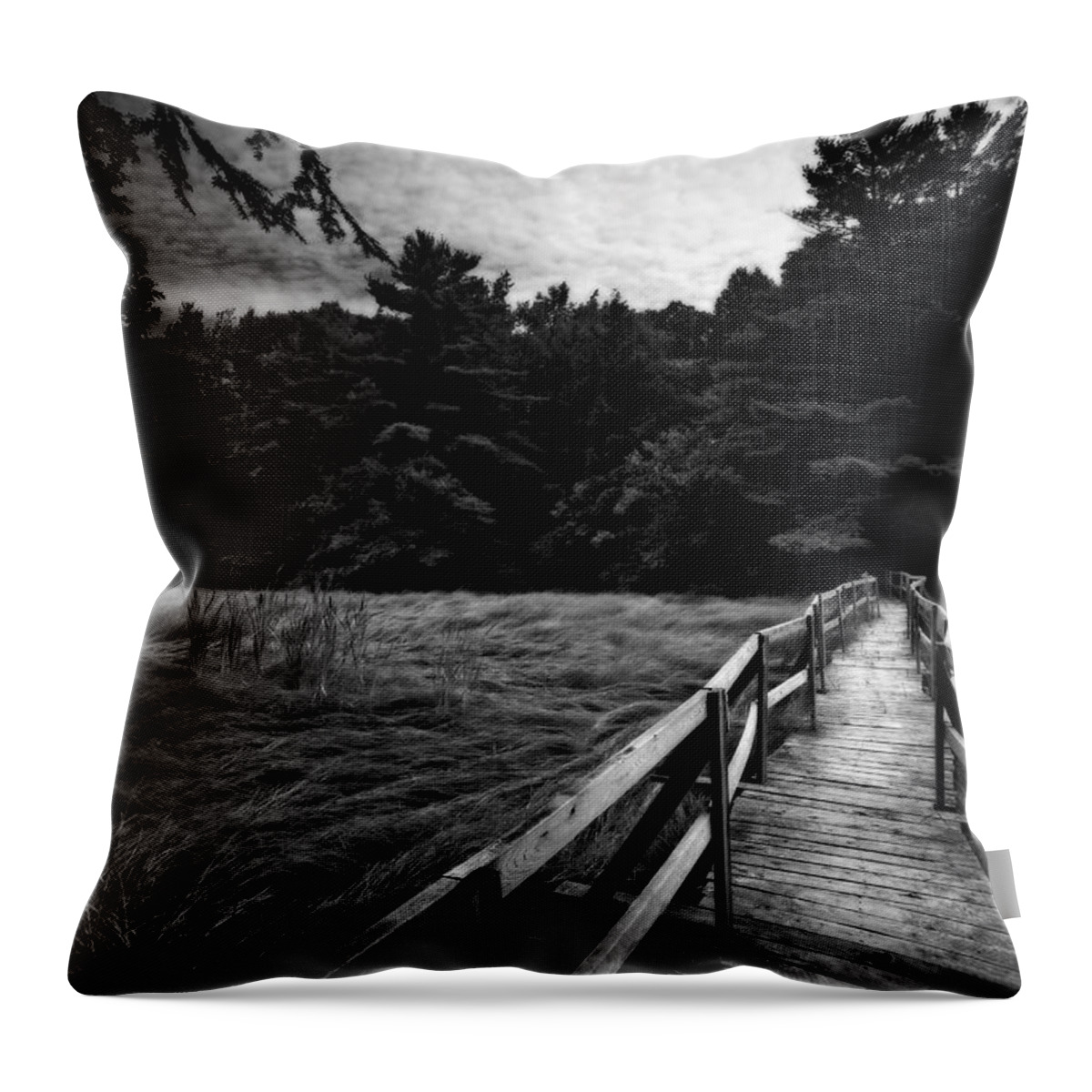 Portland Throw Pillow featuring the photograph Fore River Marsh by Neil Shapiro