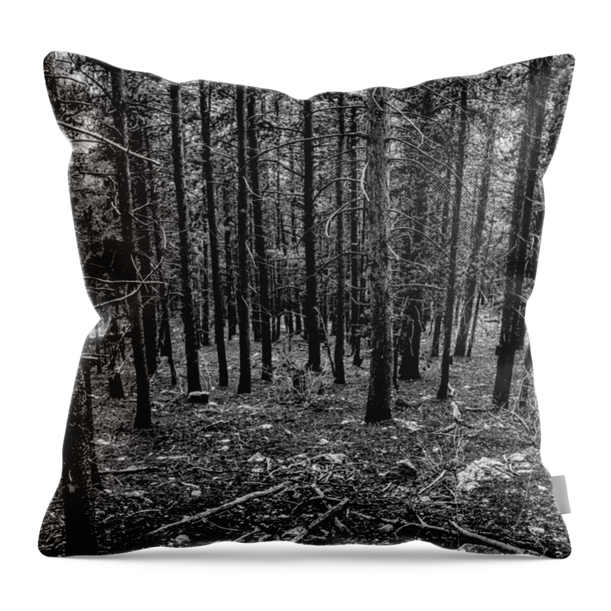 Pine Forest Throw Pillow featuring the photograph Forest Fade by Michael Brungardt