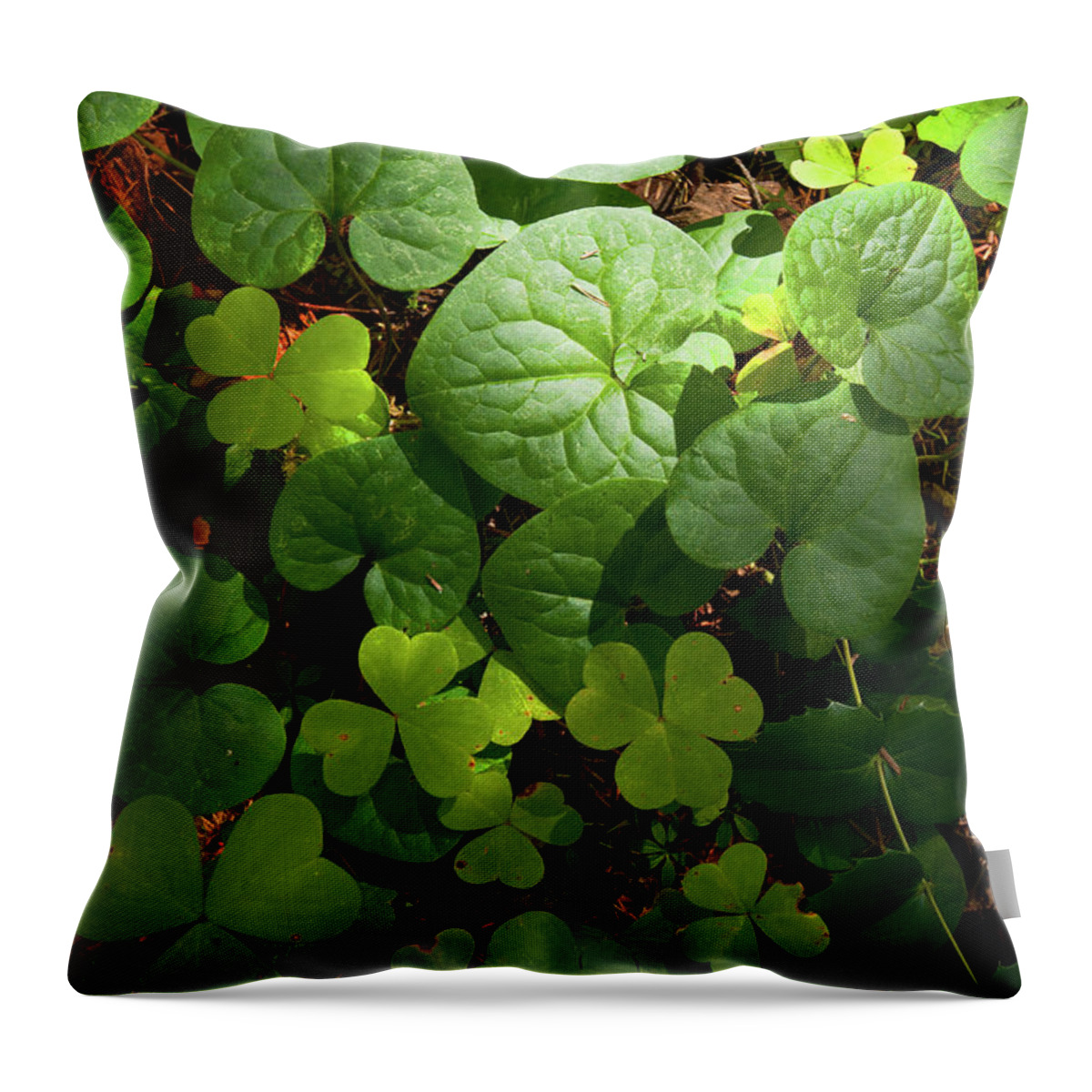 Forest Throw Pillow featuring the photograph Forest Floor by Andrew Kumler