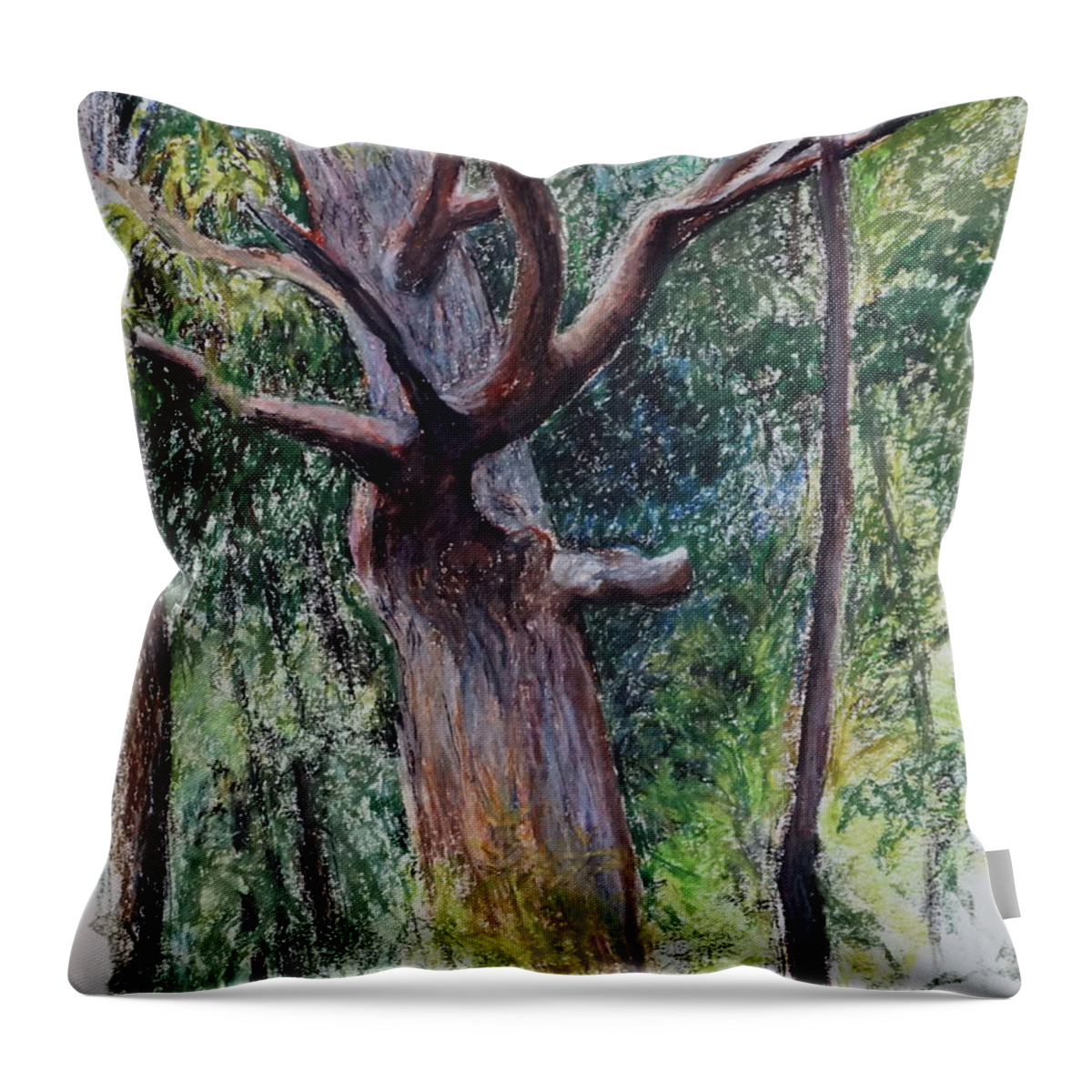 https://render.fineartamerica.com/images/rendered/default/throw-pillow/images/artworkimages/medium/1/forest-giant-bonnie-see.jpg?&targetx=0&targety=-73&imagewidth=479&imageheight=626&modelwidth=479&modelheight=479&backgroundcolor=989F94&orientation=0&producttype=throwpillow-20-20