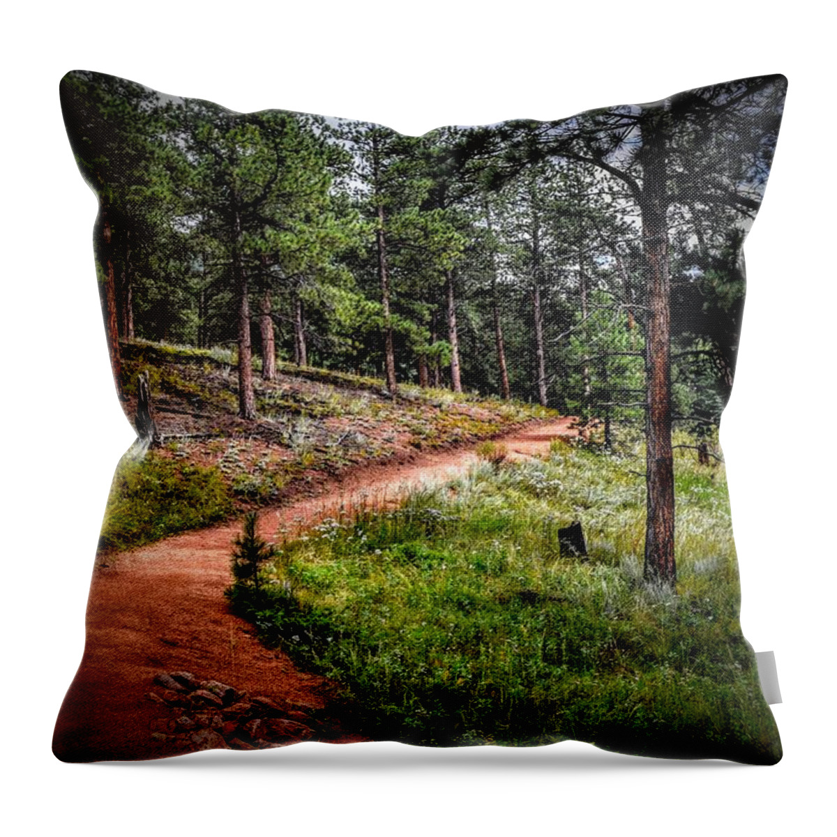Forest Throw Pillow featuring the photograph Forest Glow by Michael Brungardt