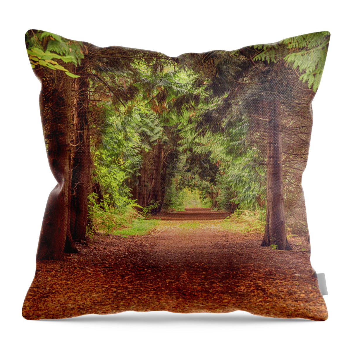 Tunnel Throw Pillow featuring the photograph Forest Road by Tim Abeln