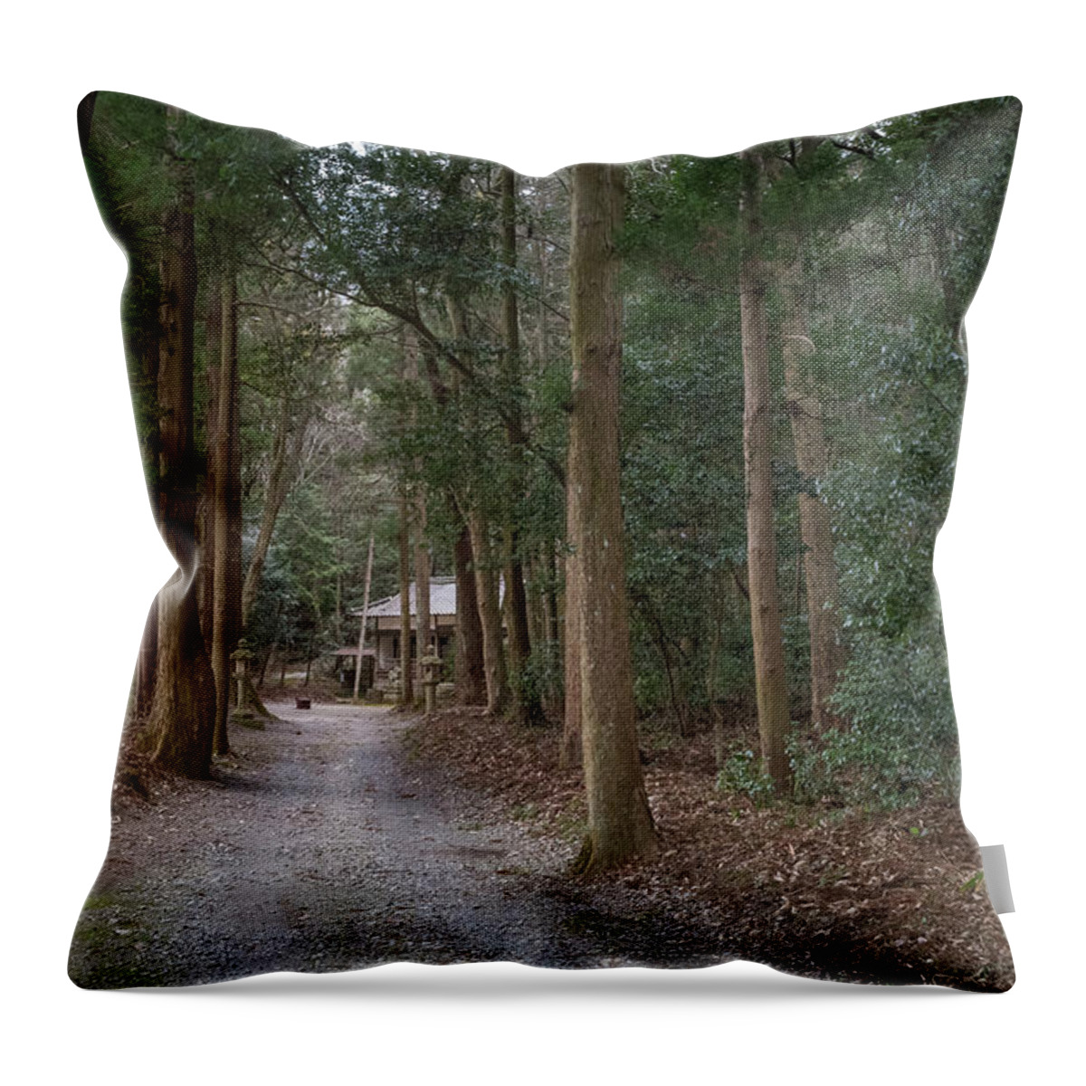 Shrine Throw Pillow featuring the photograph Forrest Shrine, Japan by Perry Rodriguez