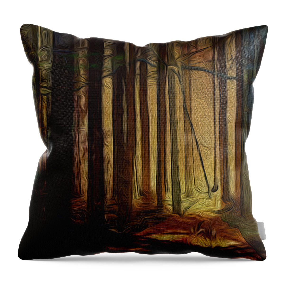 Artwork For Sale Throw Pillow featuring the digital art Forrest sun by Vincent Franco