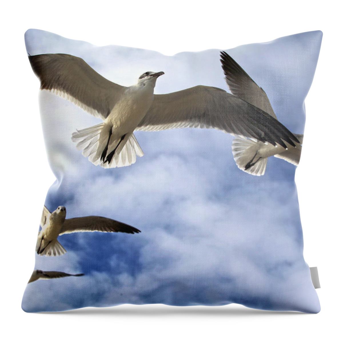 Gull Throw Pillow featuring the photograph Four Gulls by Robert Och