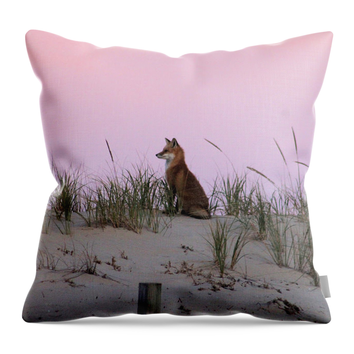 Fox Throw Pillow featuring the photograph Fox On The Dune At Dawn by Robert Banach