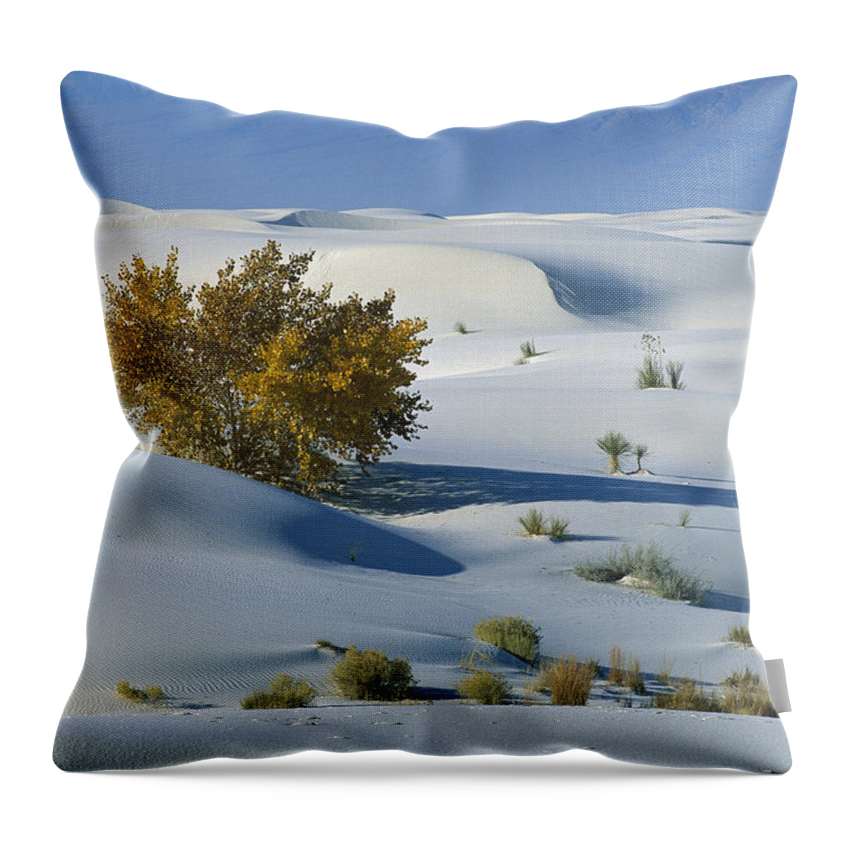 00198316 Throw Pillow featuring the photograph Fremont Cottonwood at White Sands by Konrad Wothe
