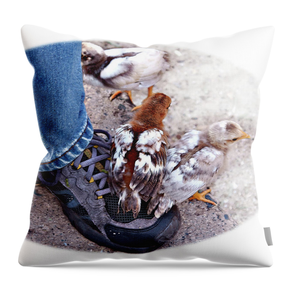 Chicken Throw Pillow featuring the photograph Friends by Tatiana Travelways