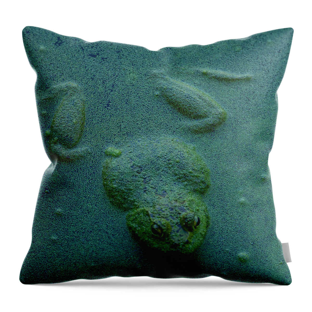 Frog Throw Pillow featuring the photograph Frog by Jerry Cahill