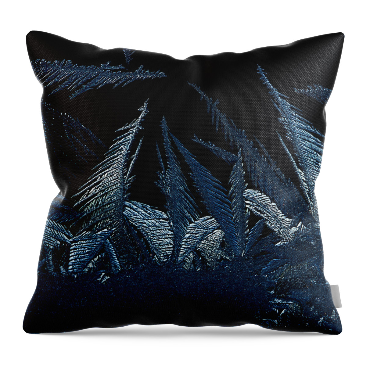 Frost Throw Pillow featuring the photograph Frost Forest 2015 by Fred Denner