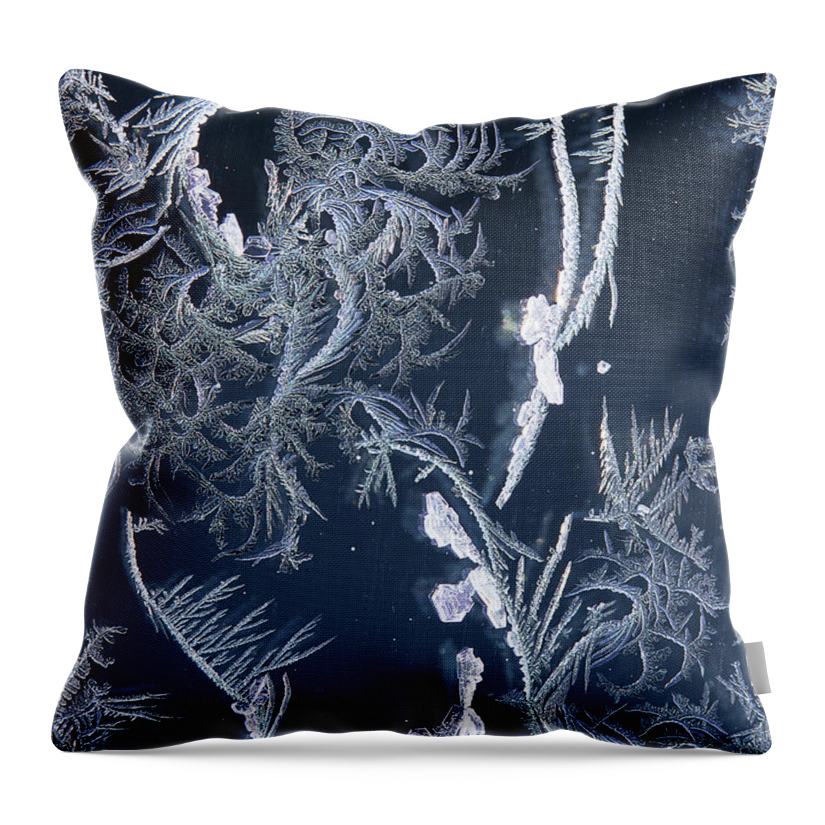 Frost Macro Throw Pillow featuring the photograph Frost Series 7 by Mike Eingle