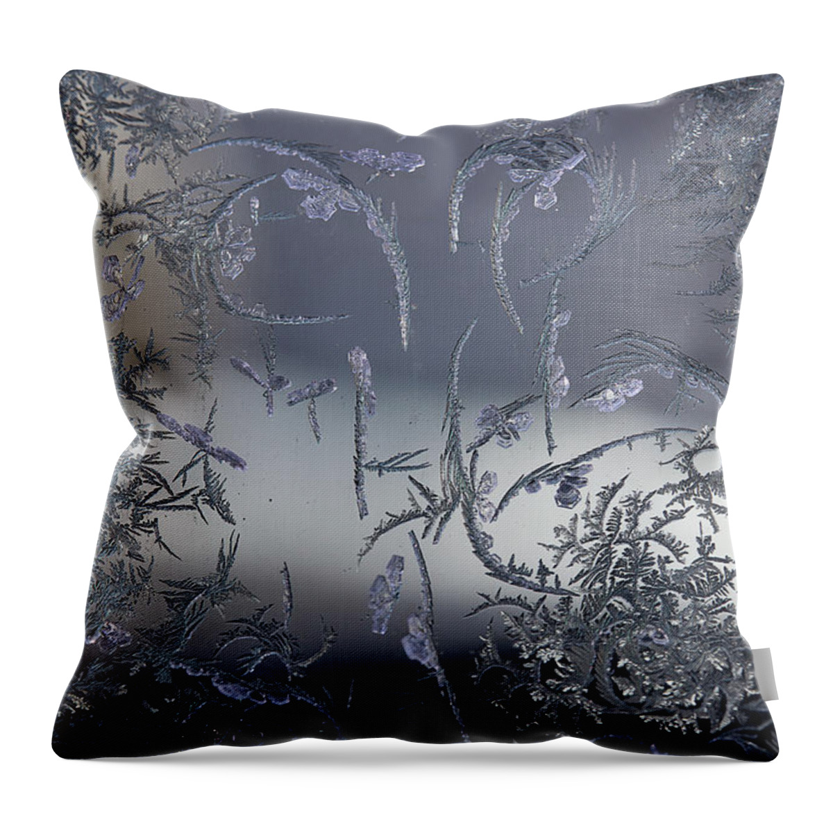 Frost Macro Throw Pillow featuring the photograph Frost Series 8 by Mike Eingle