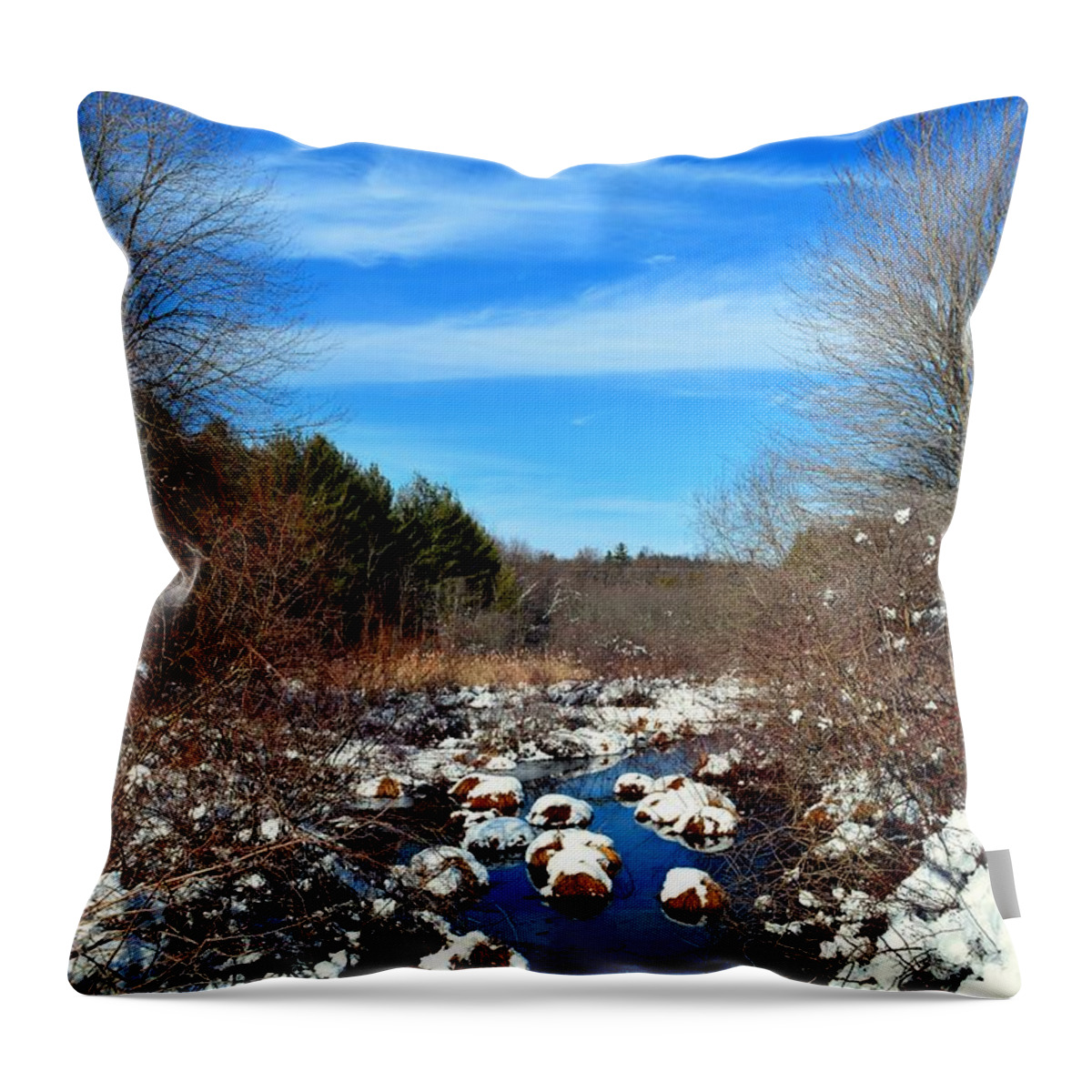 Snow Throw Pillow featuring the photograph Frosted River Grass by Dani McEvoy