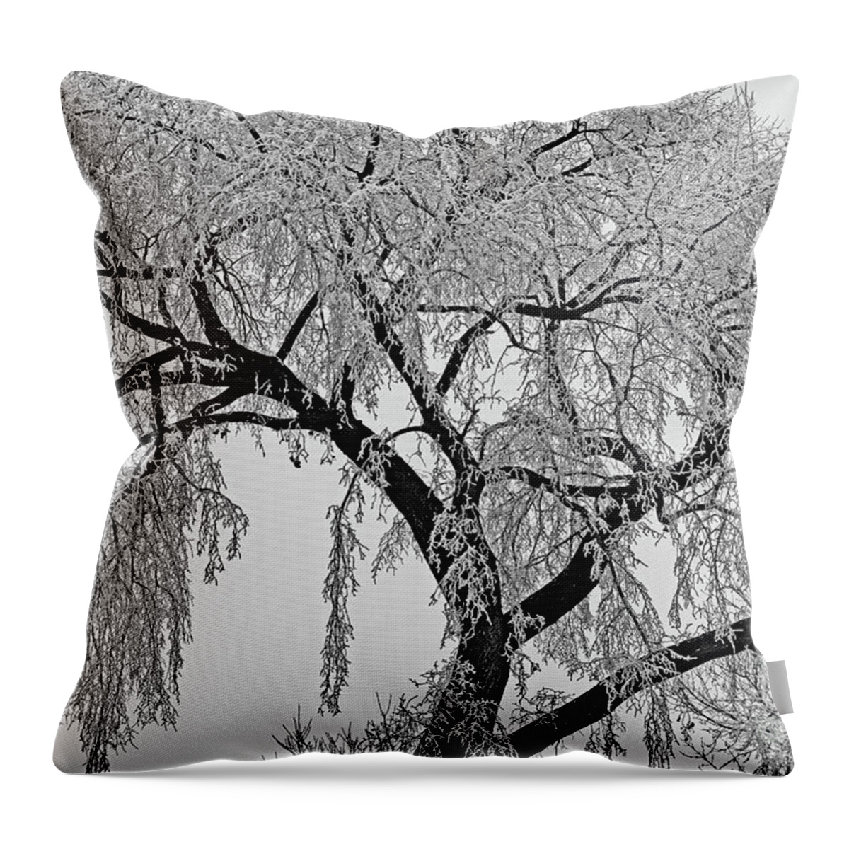  Throw Pillow featuring the digital art Frosty Friday by Darcy Dietrich