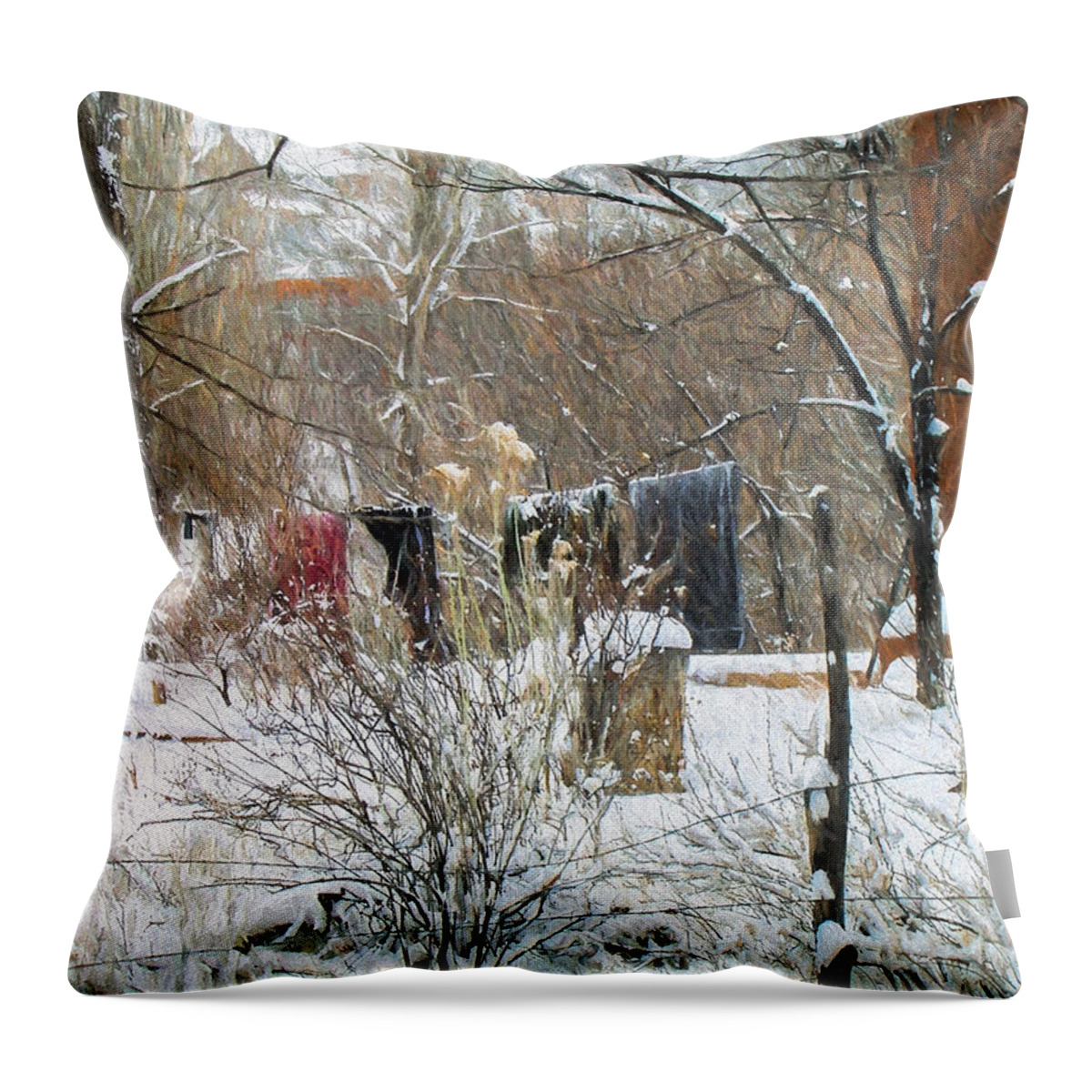 Frozen Throw Pillow featuring the photograph Frozen Laundry by Lou Novick