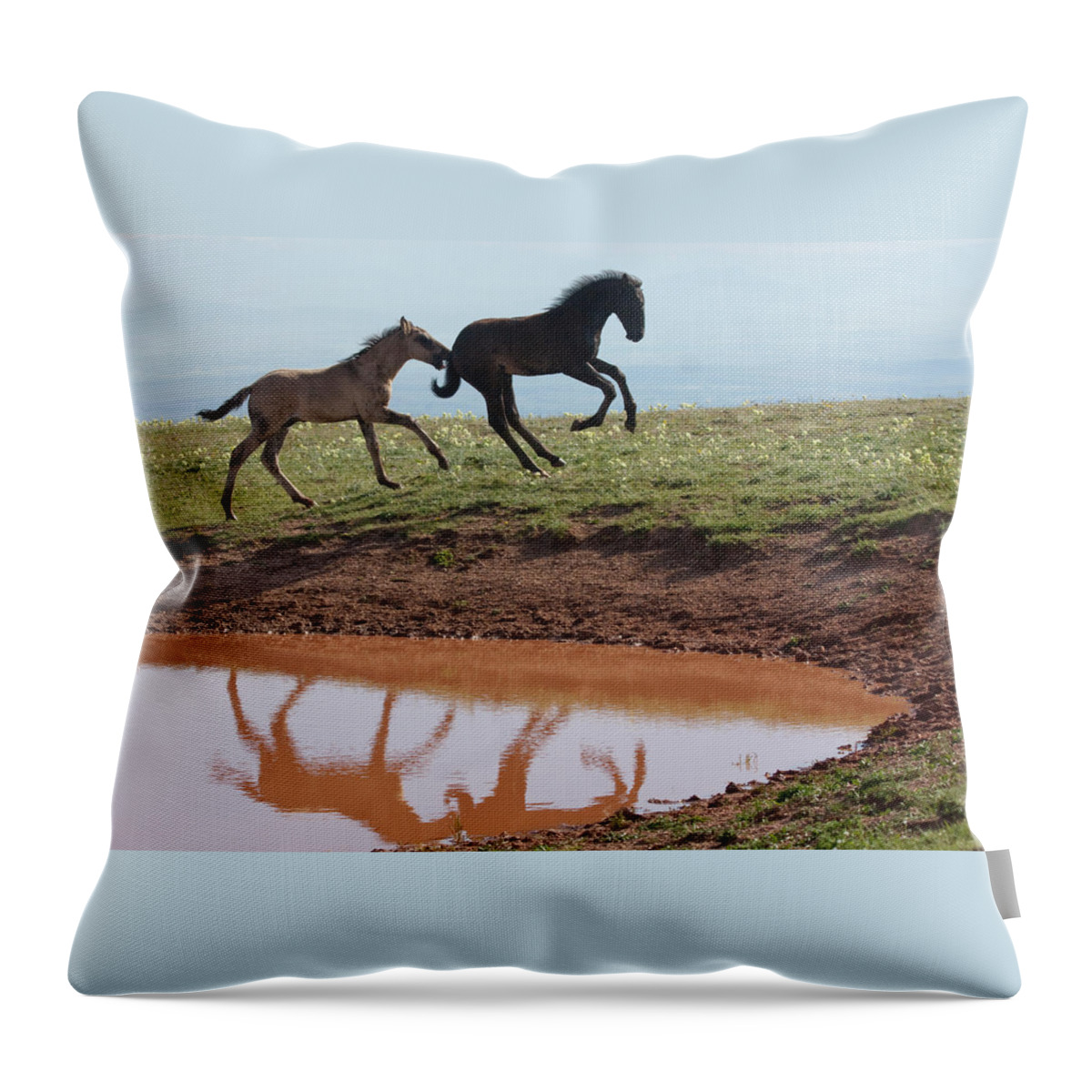 Wild Horse Throw Pillow featuring the photograph Fun in the Rockies- Wild Horse Foals by Mark Miller