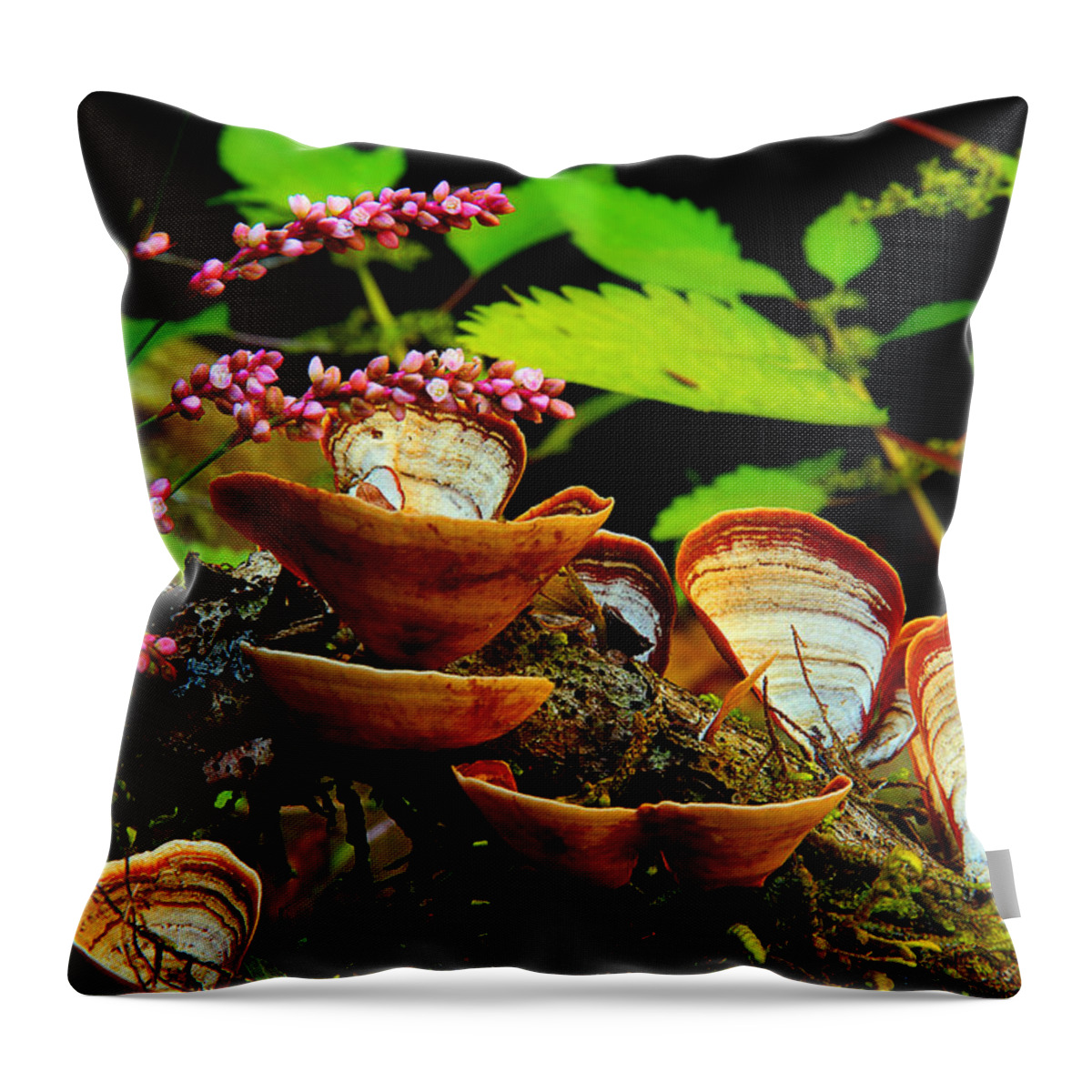 Flowers And Fungus Throw Pillow featuring the photograph Fungus Along The Stream by Mike Eingle