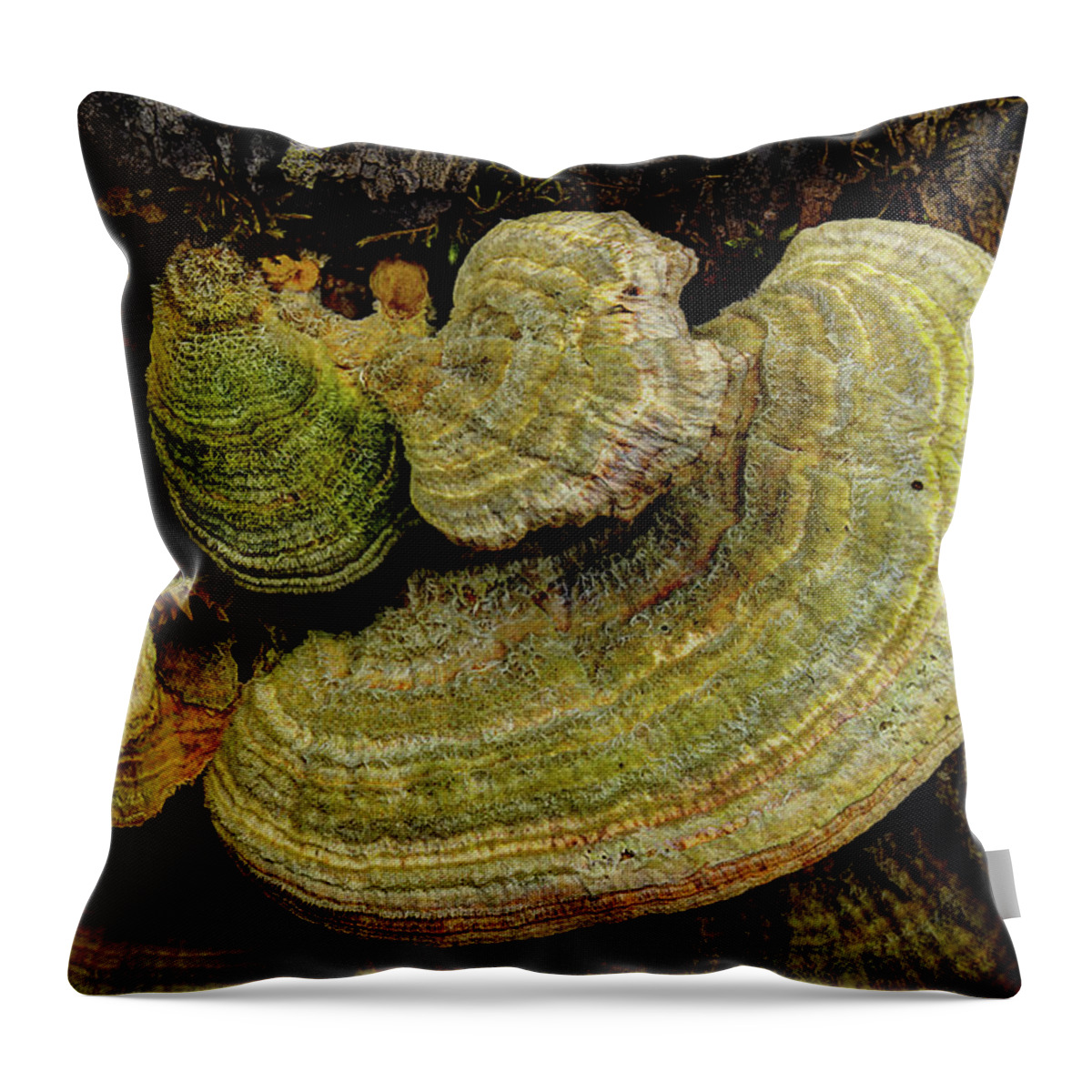 Fungus Throw Pillow featuring the photograph Fungus On The Log by Mike Eingle
