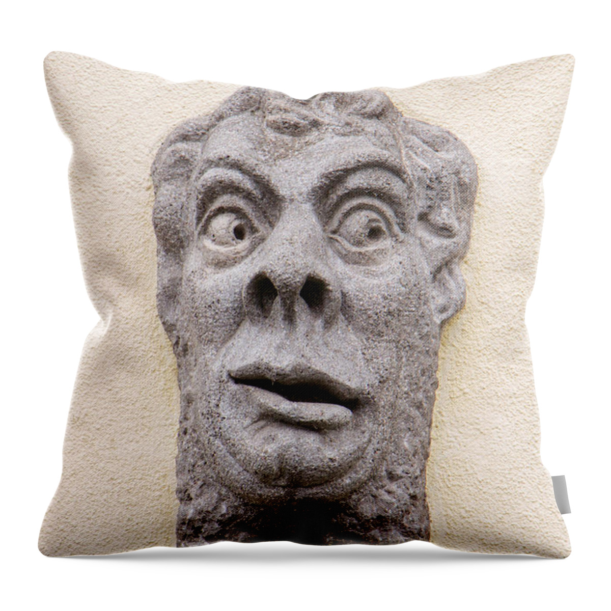 Funny Face - Stone Sculpture Throw Pillow by David Anderson - Pixels