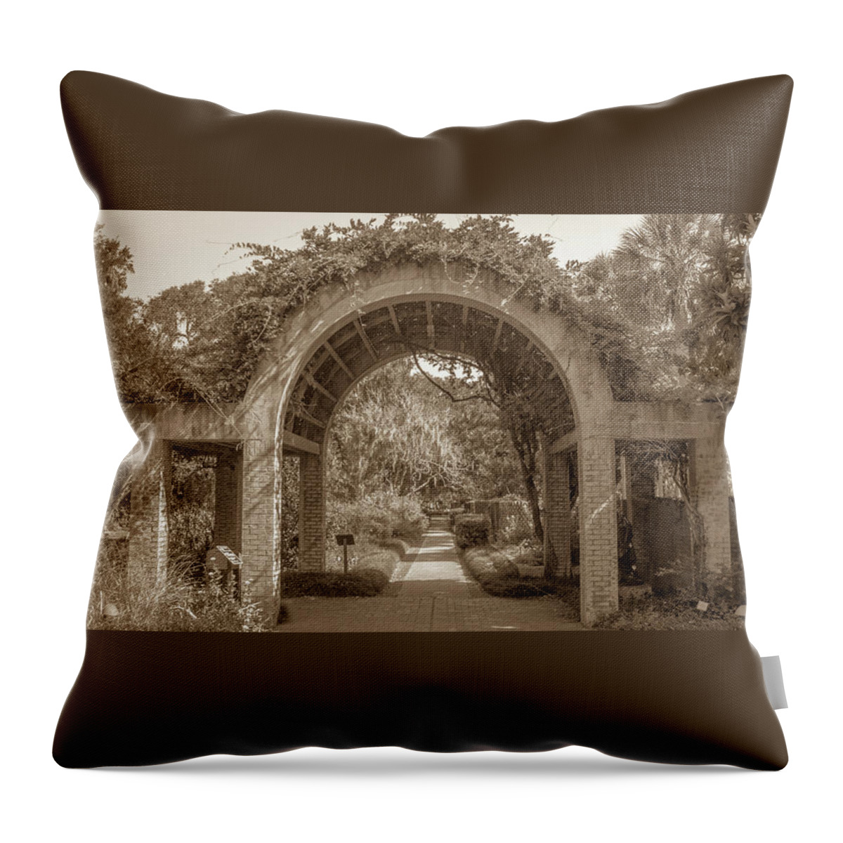 2017 Throw Pillow featuring the photograph Garden Arch by Darrell Foster