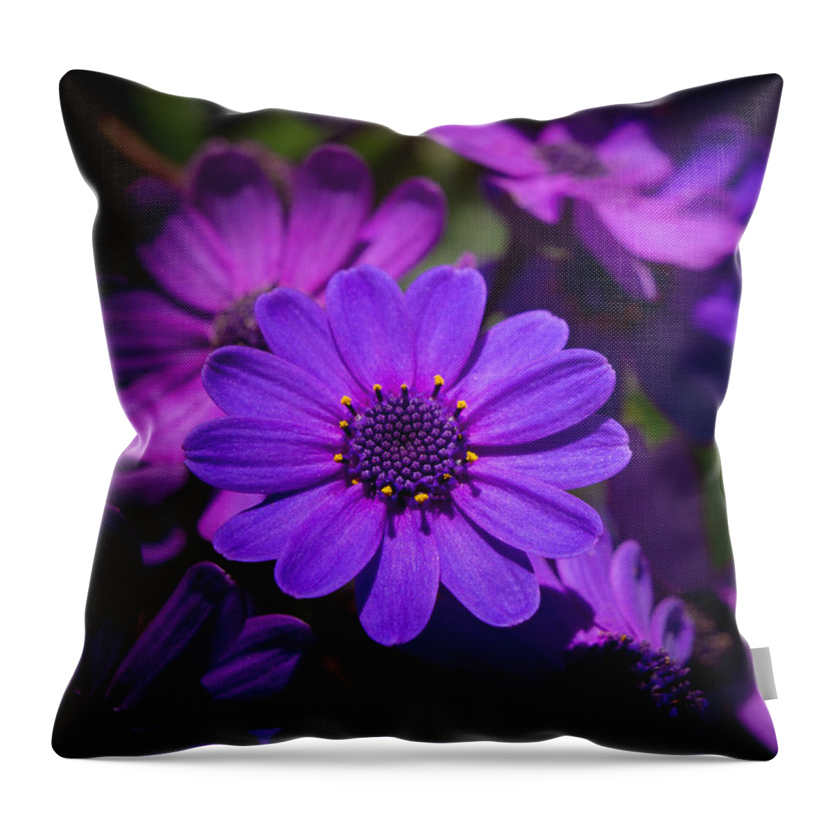 Flower Throw Pillow featuring the photograph Garden Light by Derek Dean