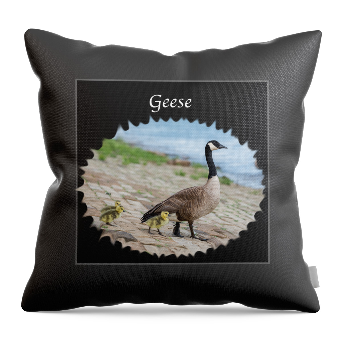 Geese Throw Pillow featuring the photograph Geese in the Clouds by Holden The Moment