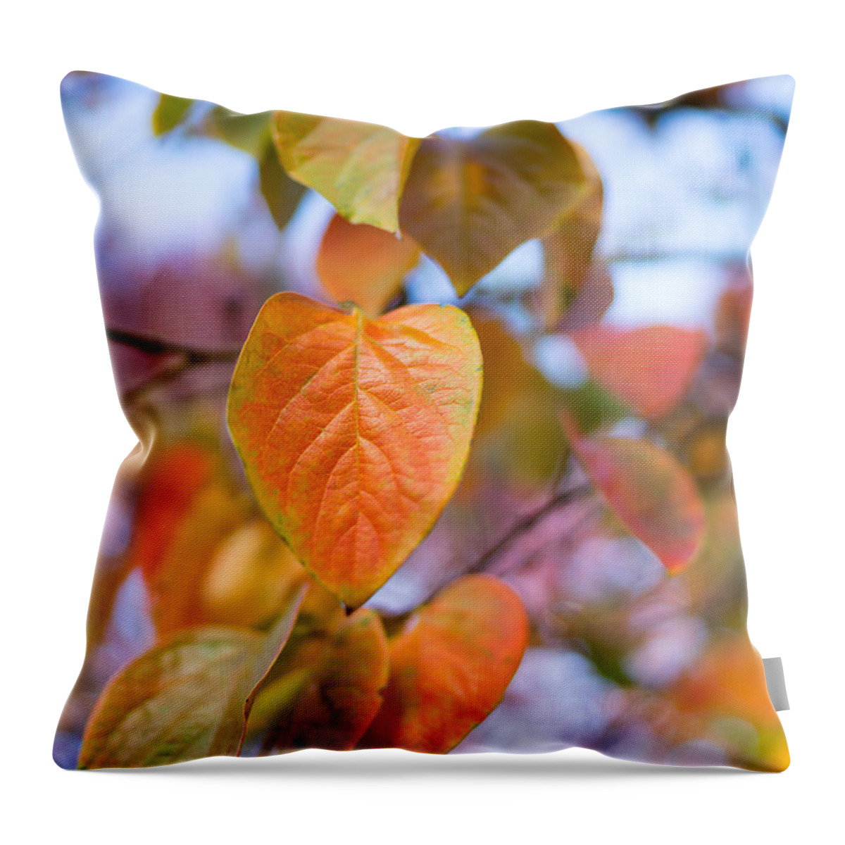 Leaves Throw Pillow featuring the photograph Gentle Breeze by Derek Dean