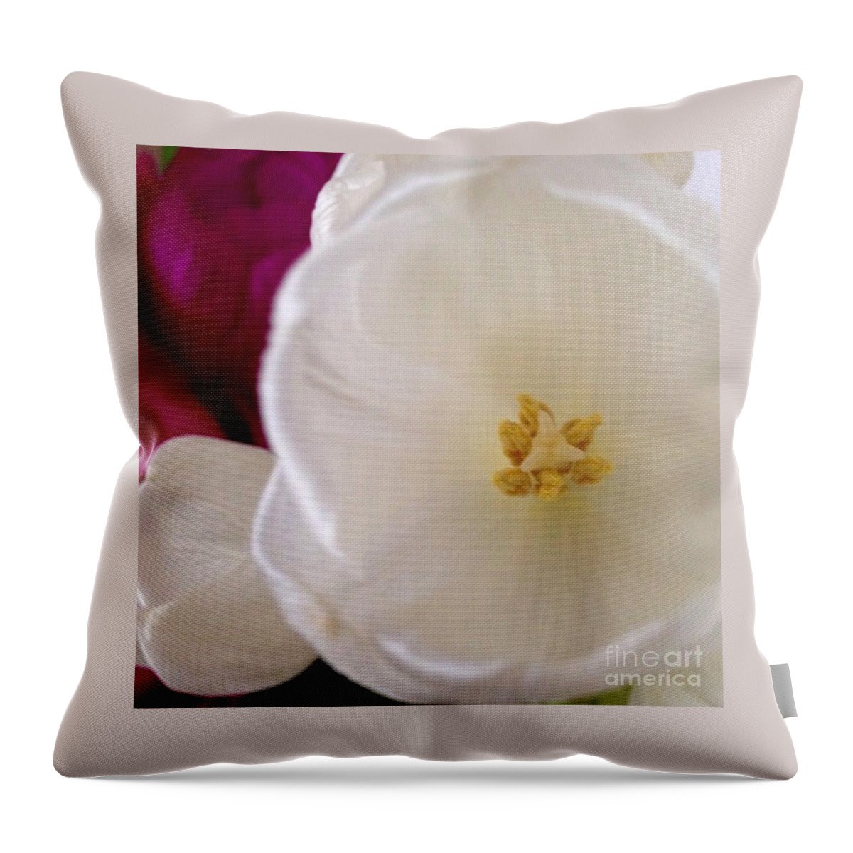 Flowers Throw Pillow featuring the photograph Gentle			 by Denise Railey