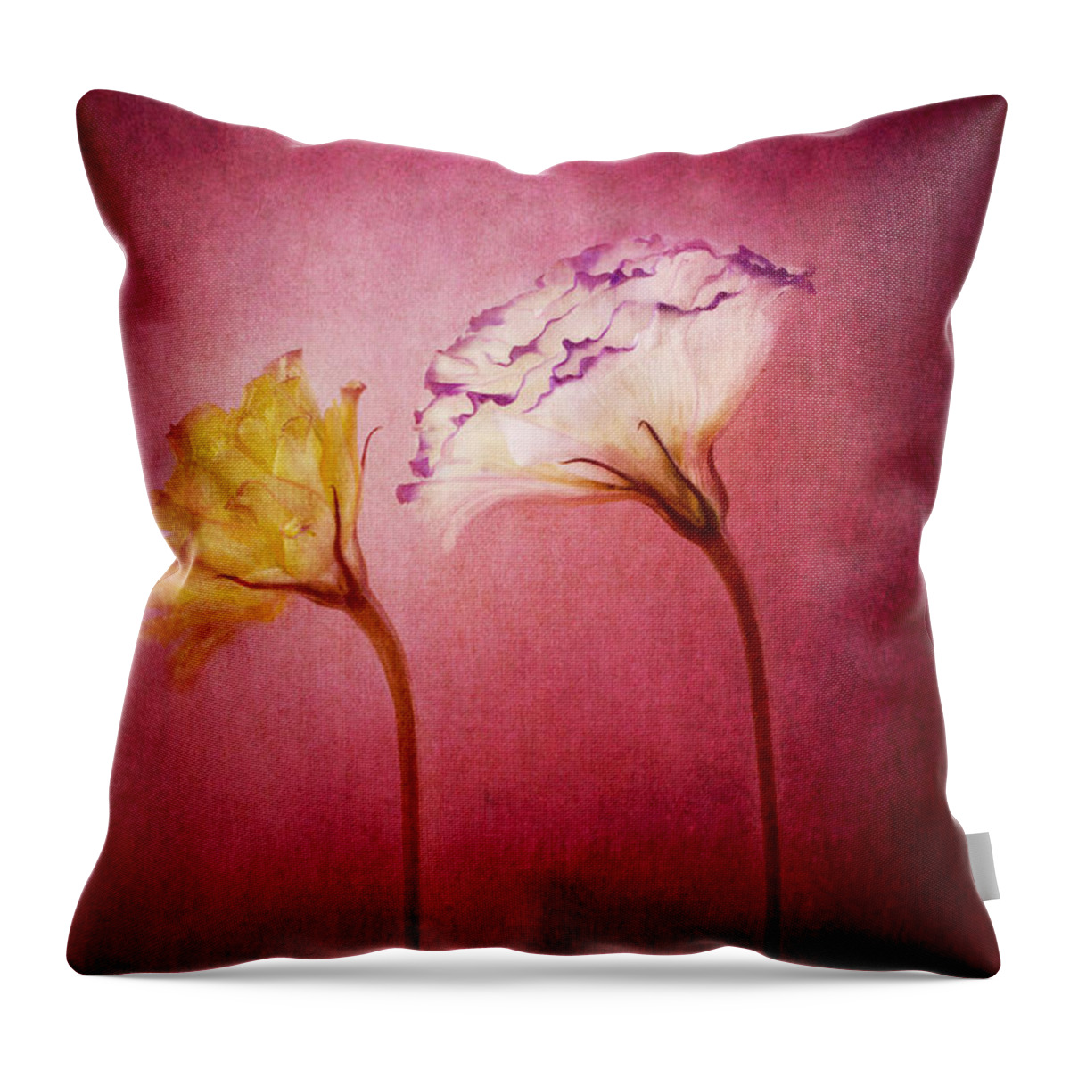 White Flower Throw Pillow featuring the photograph Gentle Touch by Marina Kojukhova
