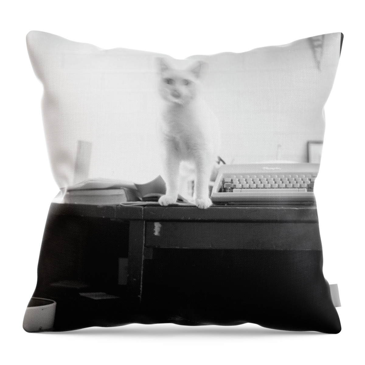 Cat Throw Pillow featuring the photograph Ghost Cat, with Typewriter by Jeremy Butler