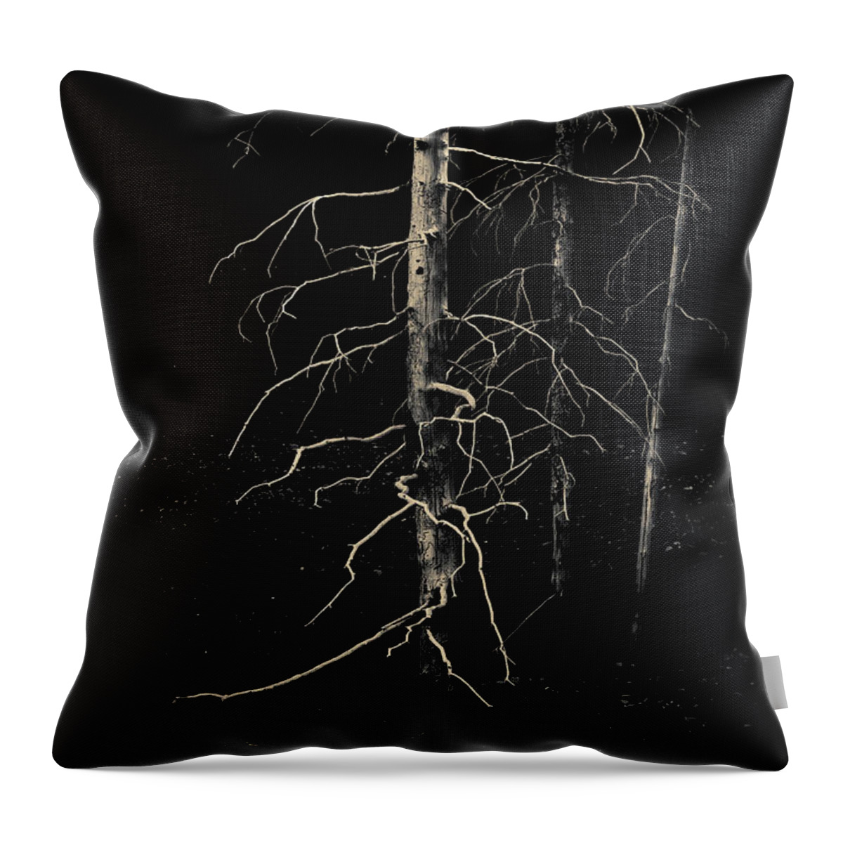 Trees Throw Pillow featuring the photograph Ghost Trees by Fred Denner