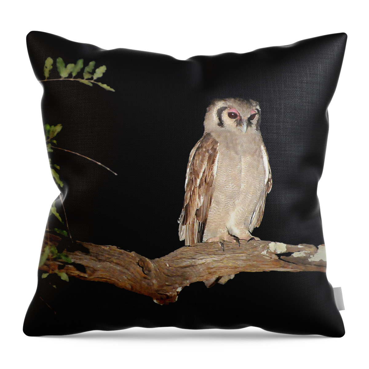 Giant Throw Pillow featuring the photograph Giant Eagle Owl by Ted Keller