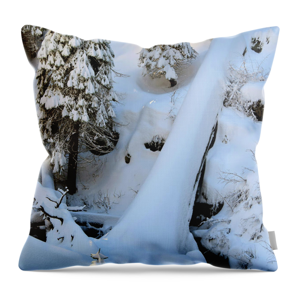 https://render.fineartamerica.com/images/rendered/default/throw-pillow/images/artworkimages/medium/1/giant-forest-4-sequoia-national-park-january-2017-timothy-giller.jpg?&targetx=0&targety=-119&imagewidth=479&imageheight=718&modelwidth=479&modelheight=479&backgroundcolor=959EA7&orientation=0&producttype=throwpillow-14-14