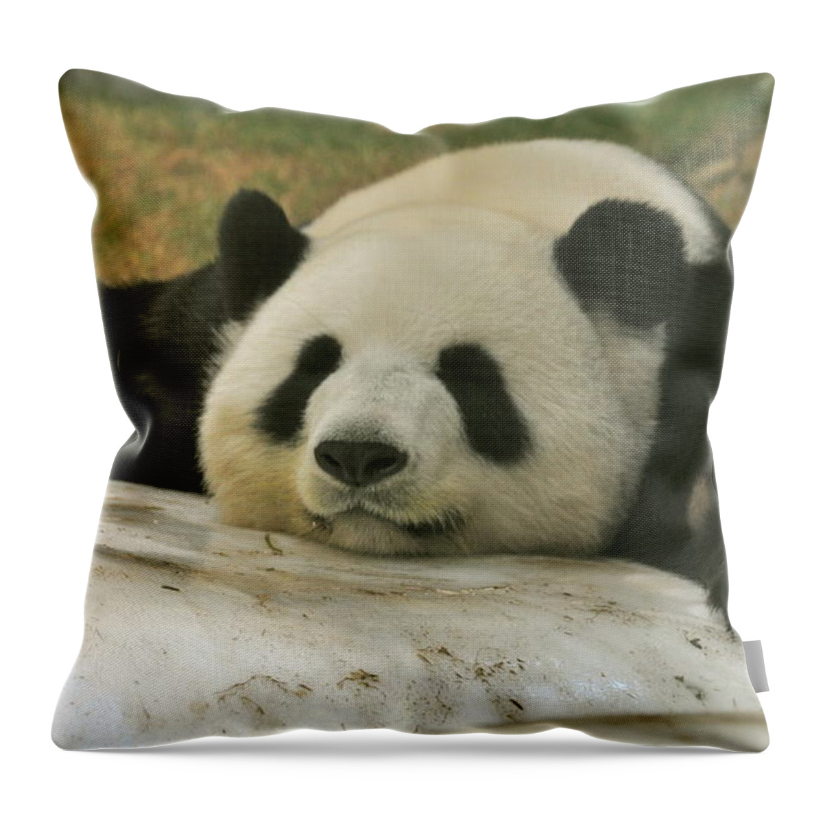 Giant Panda Sleeping Throw Pillow by Caroline Reyes-Loughrey - Pixels