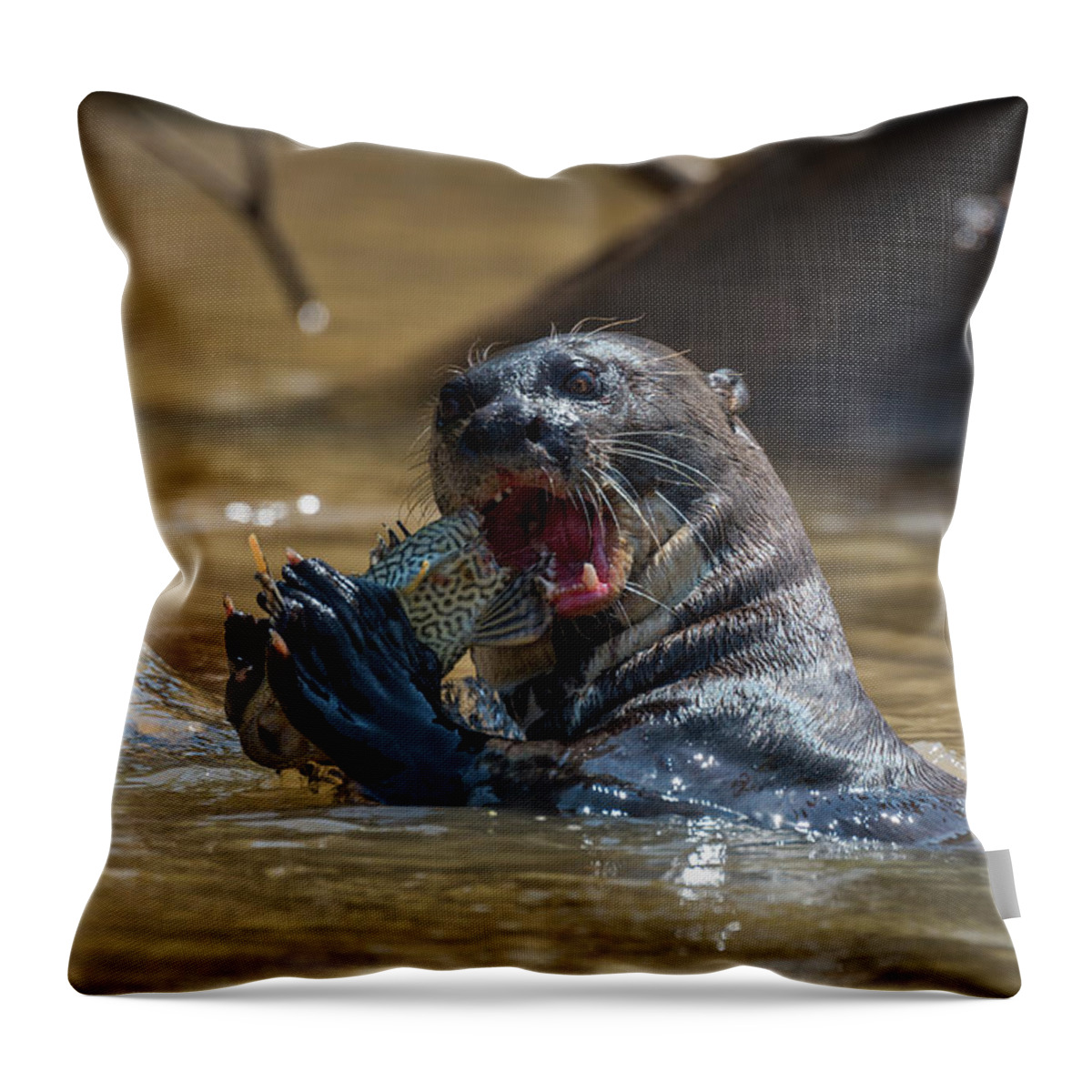 Giant river otter biting fish in river Throw Pillow