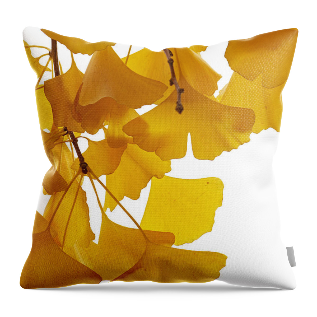 Fn Throw Pillow featuring the photograph Ginkgo Ginkgo Biloba Leaves In Autumn by Aad Schenk