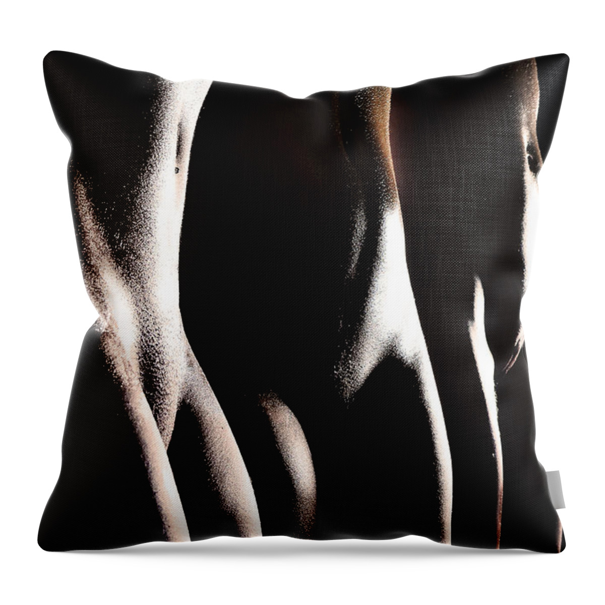 Artistic Throw Pillow featuring the photograph Glistening oasis by Robert WK Clark