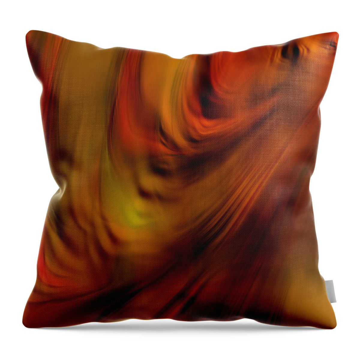 Digital Painting Throw Pillow featuring the photograph Glory of Sunset by Bonnie Bruno